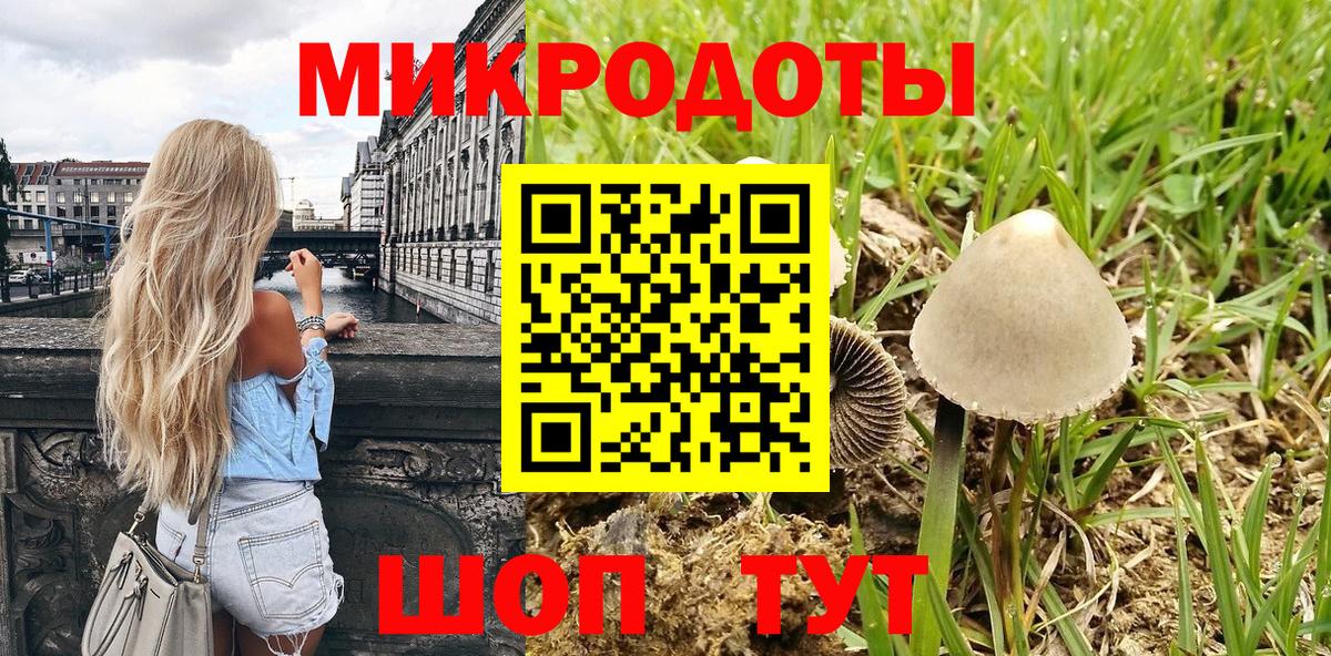 Галлюциногенные грибы Барнаул