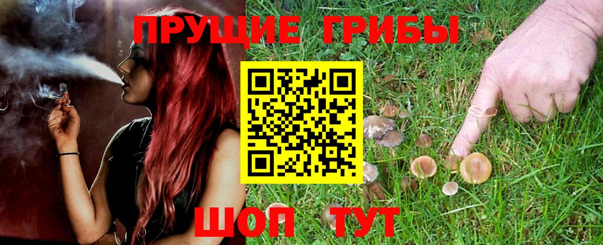Псилоцибиновые грибы MAGIC MUSHROOMS Барнаул