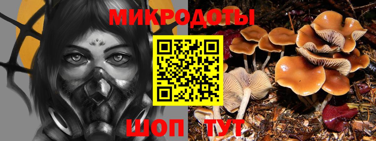 Псилоцибиновые грибы мицелий  Вход с VPN  Псилоцибиновые грибы прущие грибы  Барнаул 
